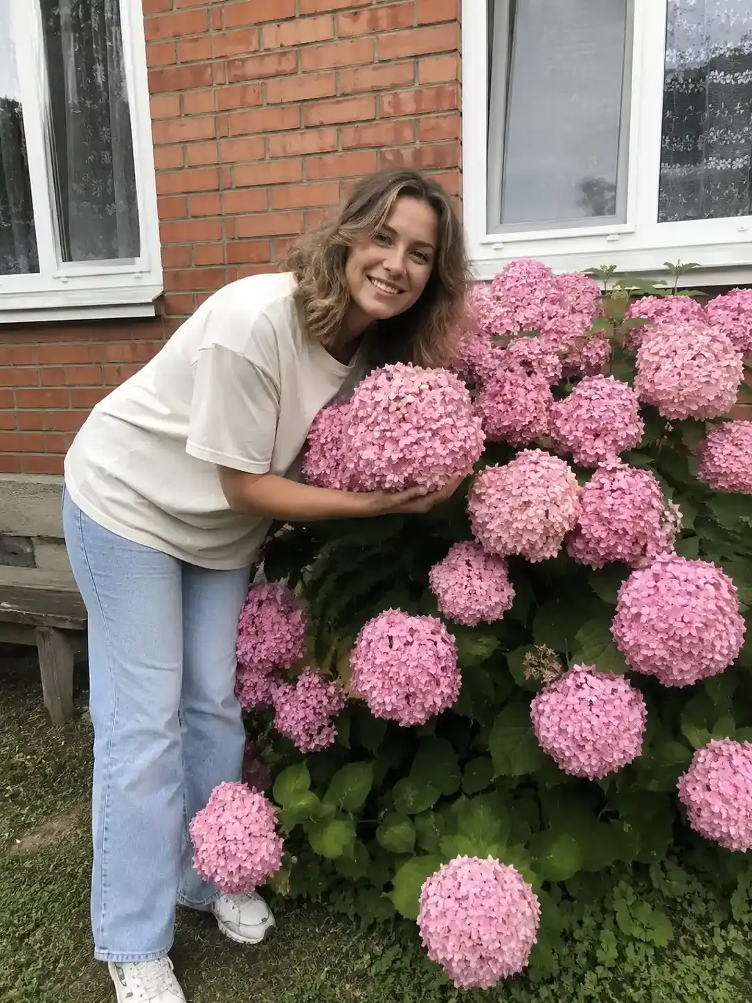 Гортензія в саду 2