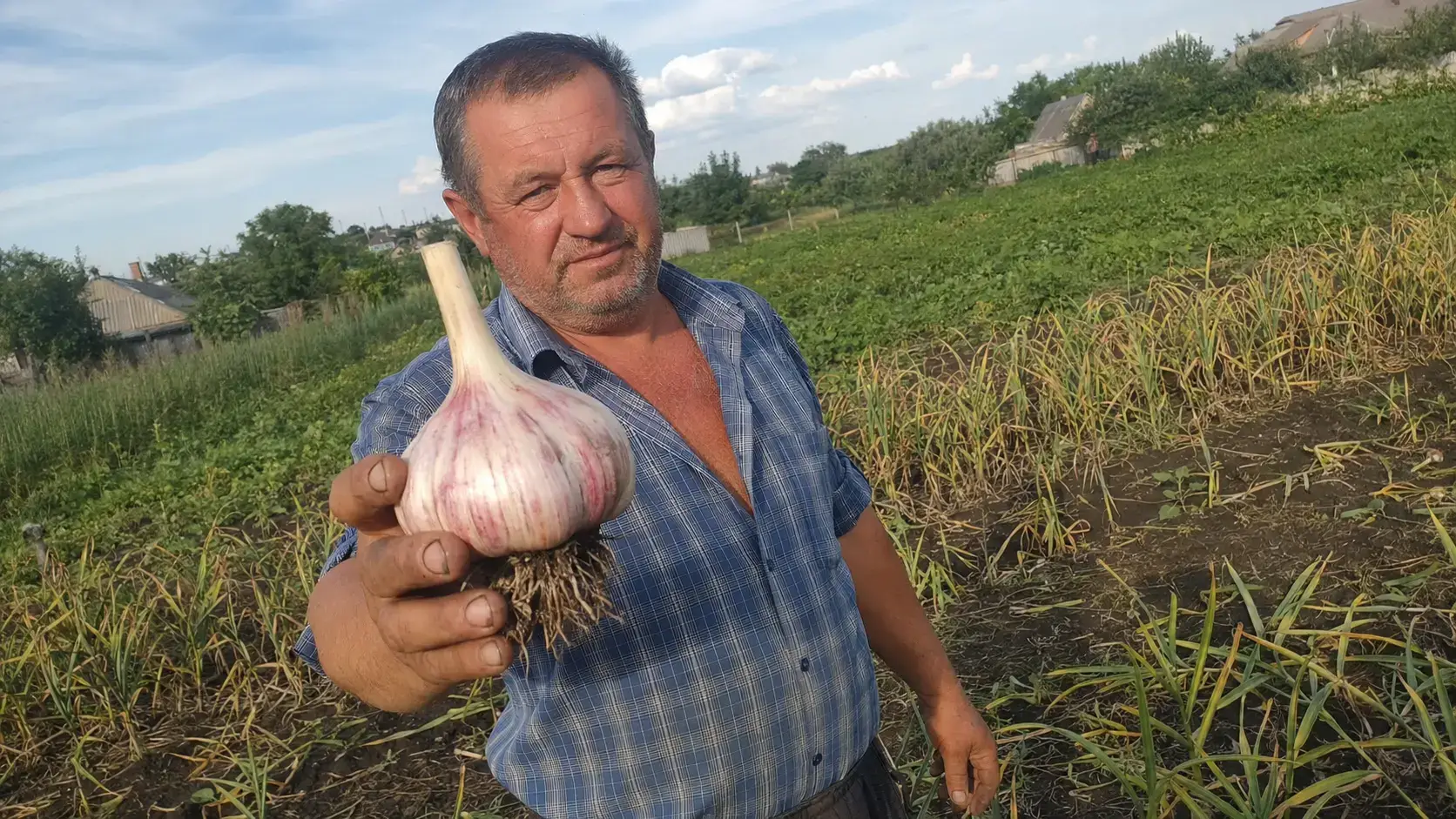 Олег Кириленко показує головку часнику — відеорепортаж