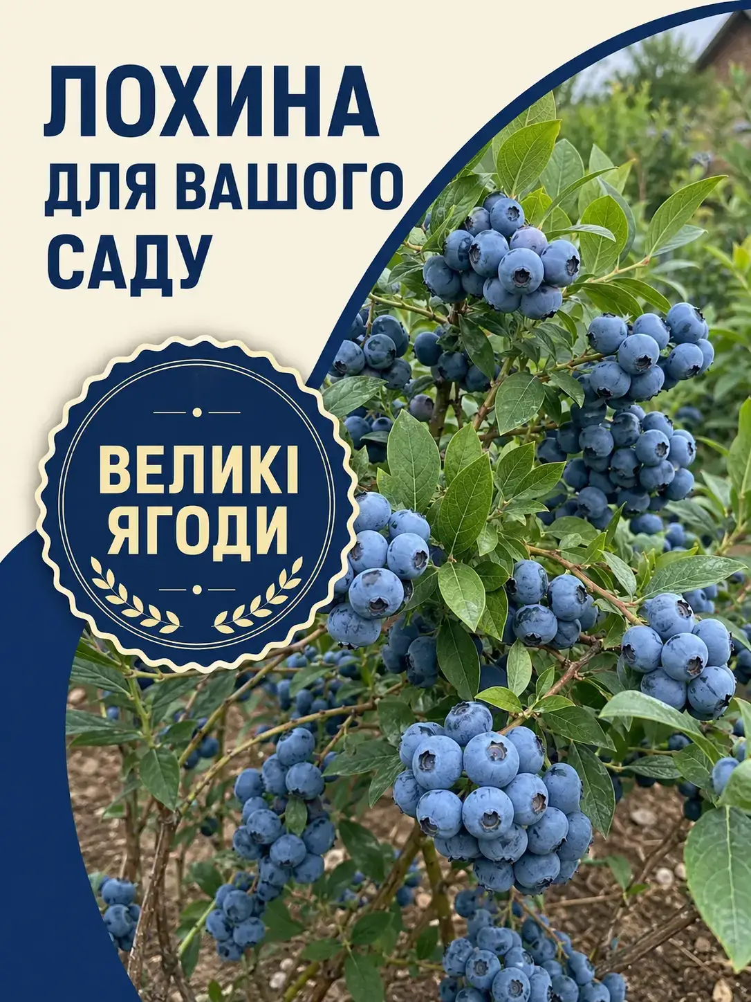 Реклама