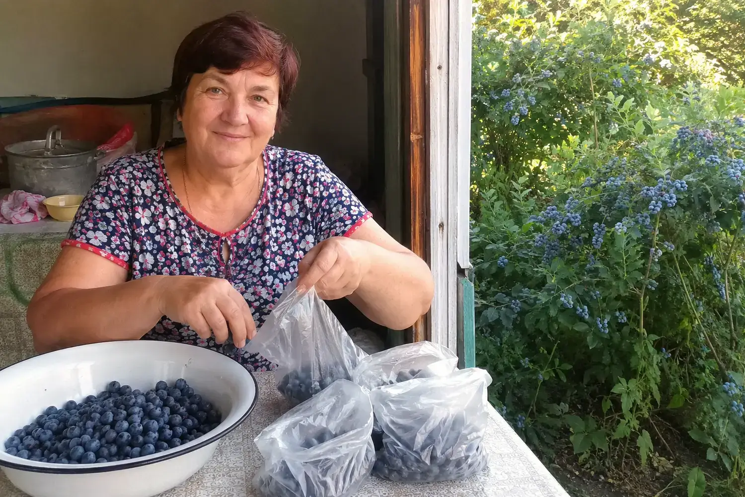 Заморожена лохина