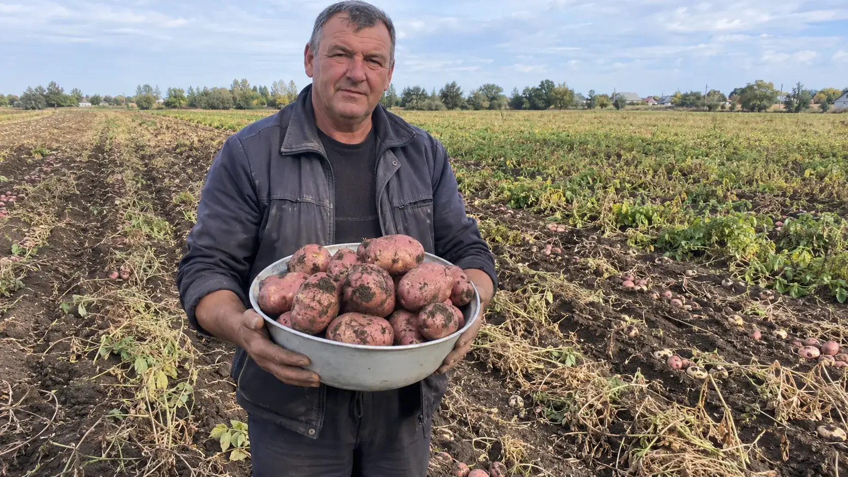 Агроном на ділянці з осінньою посадкою картоплі