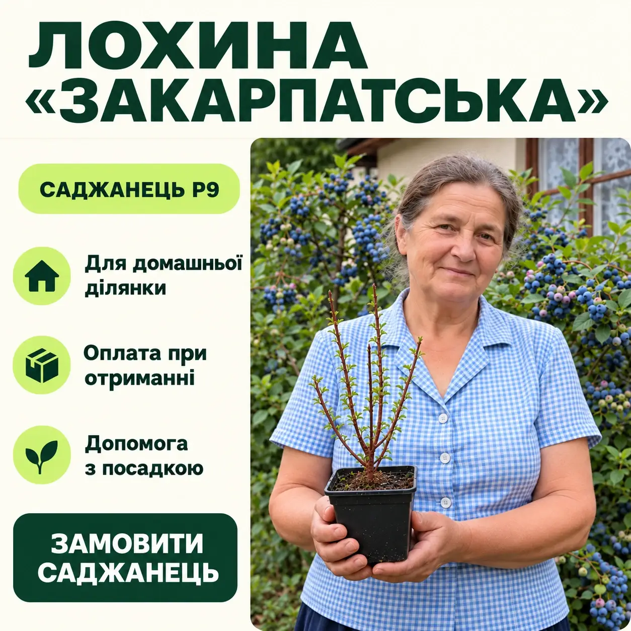 Марія із саджанцем лохини «Закарпатська» у горщику P9