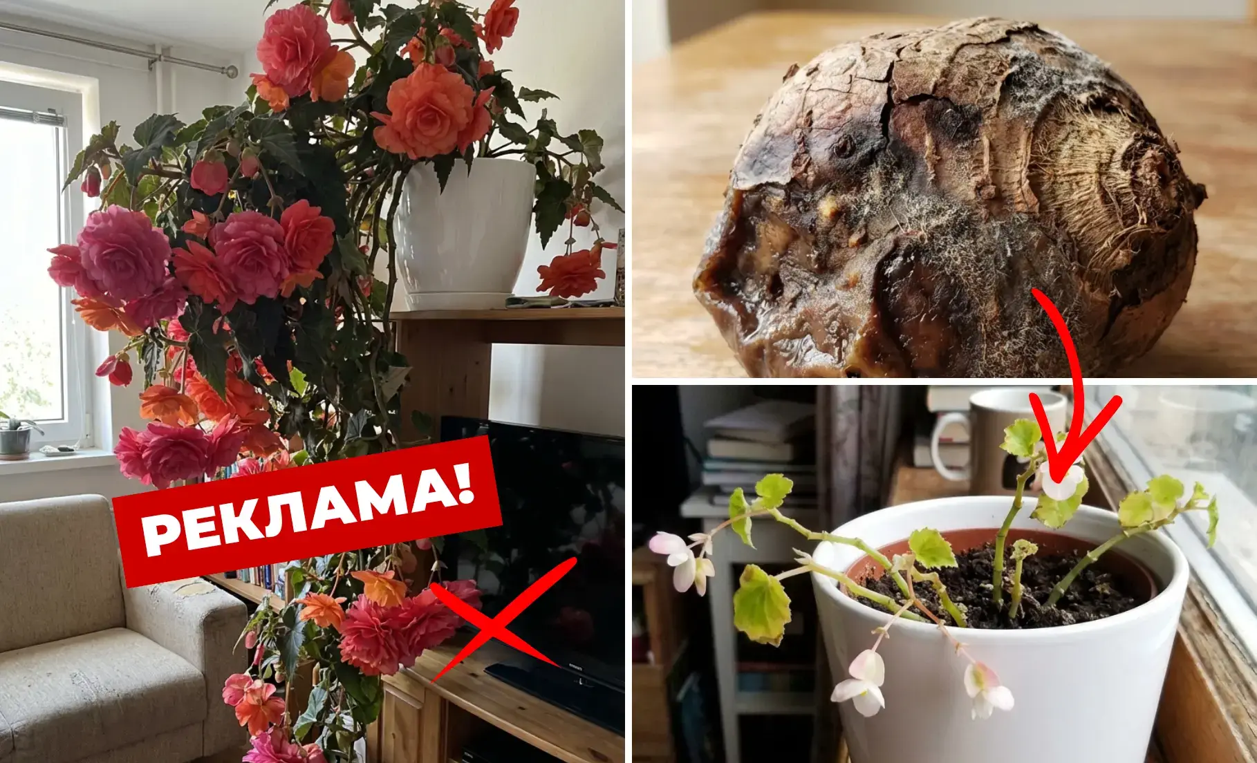 Проблемний матеріал